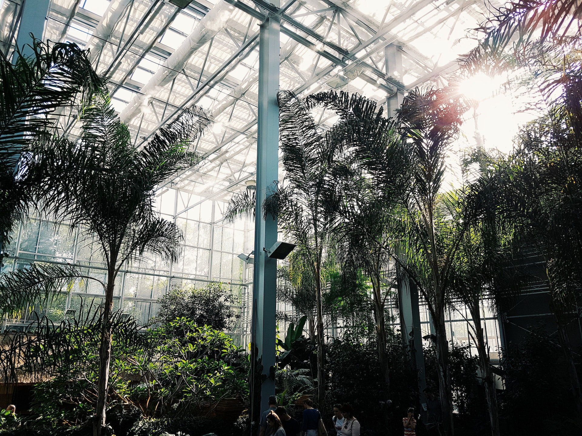 Selby Botanical Garden